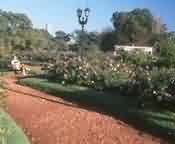 Palermo Buenos Aries