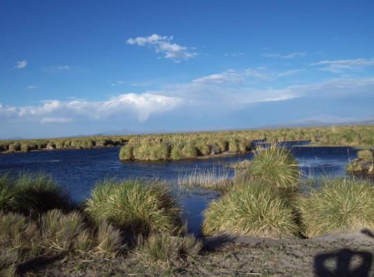 La Reserva Faunística Laguna de Llancanelo